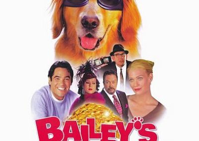 Baileys Billion$
