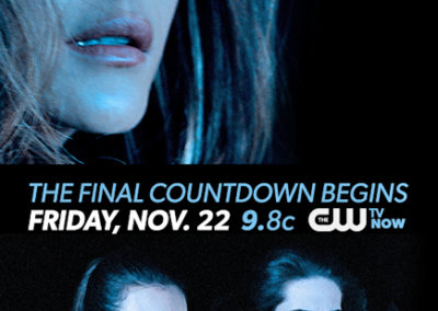 Nikita Season IV